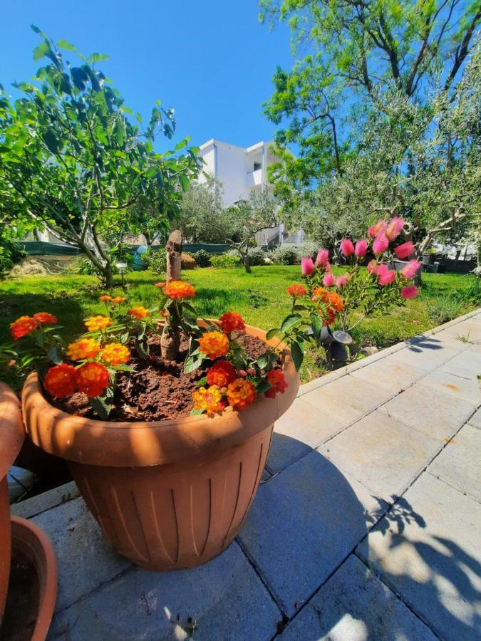 Apartment Noa's Garden Bibinje Buitenkant foto